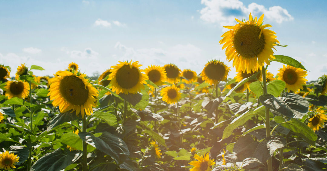 4 cuentas de Instagram que inspiran positivismo